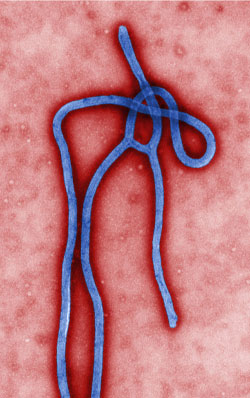 history-of-Ebola